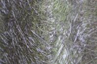 Clase fibreglass roof work